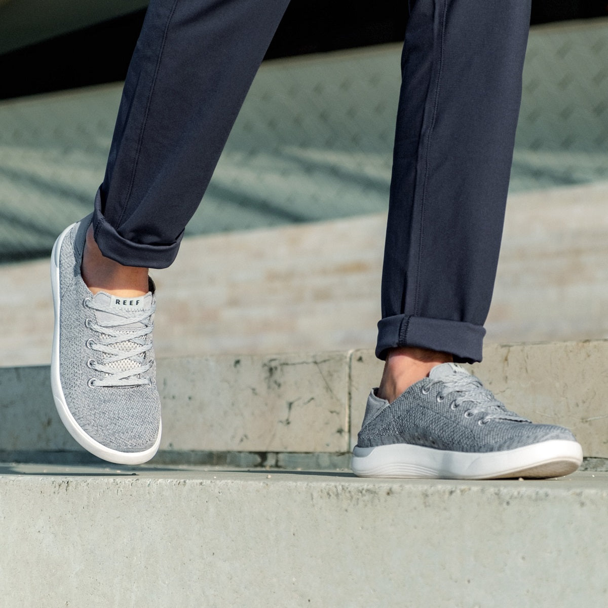 Reef Neptune - Grey