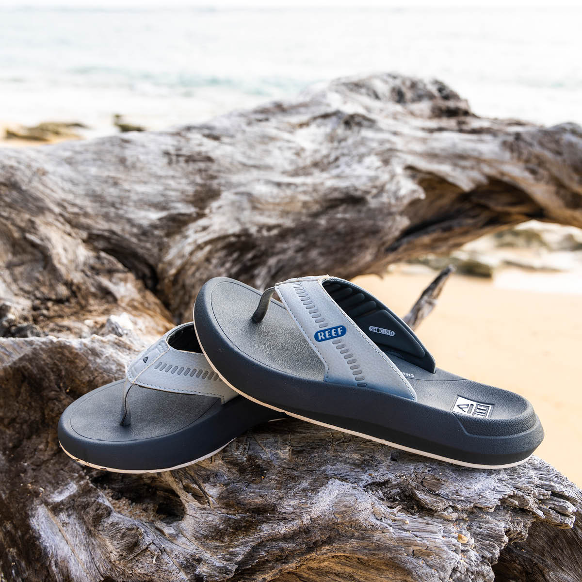 Reef Cruiser - Grey/Light Grey/Blue