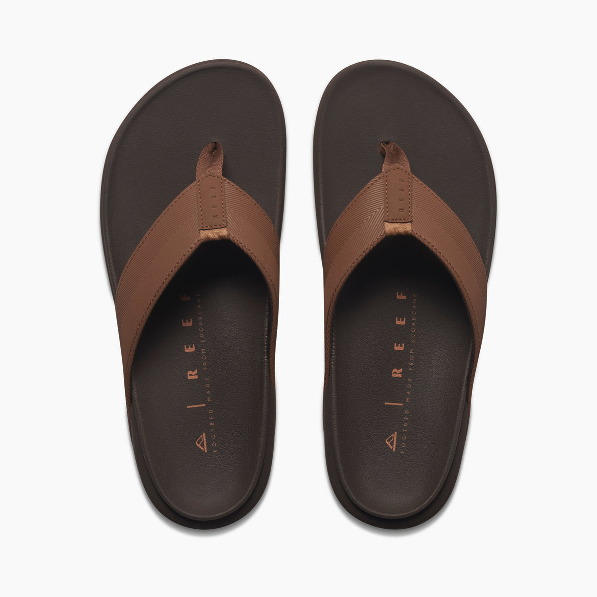 Reef The Raglan - Java/Gum