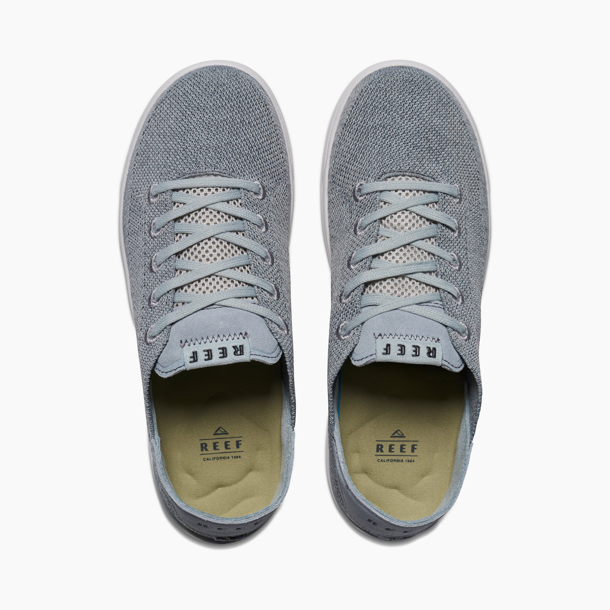 Reef Neptune - Grey