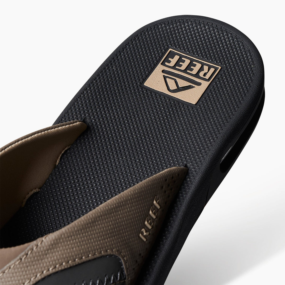 Reef Fanning - Fossil/Raven