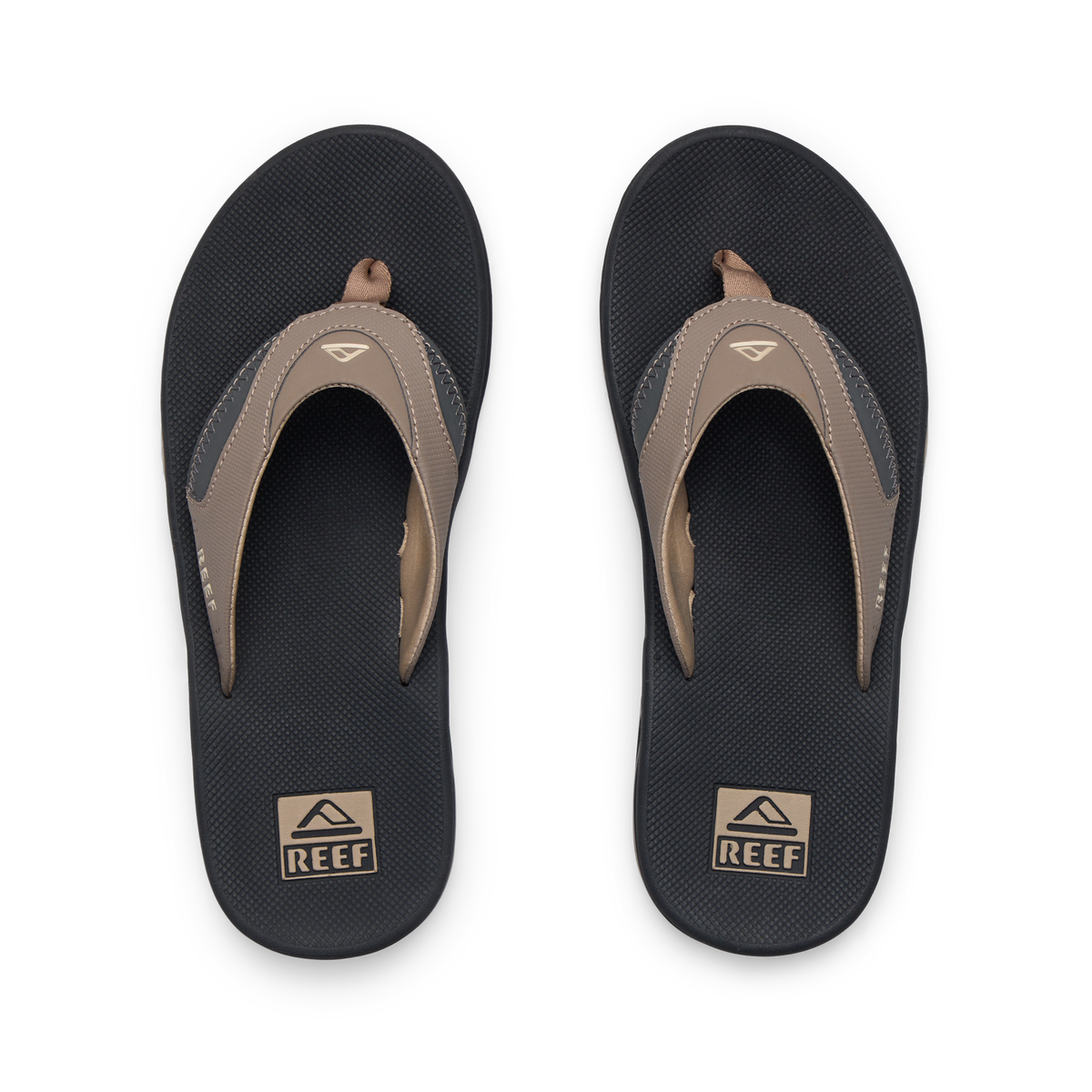 Reef Fanning - Fossil/Raven