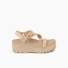 Oasis Suede