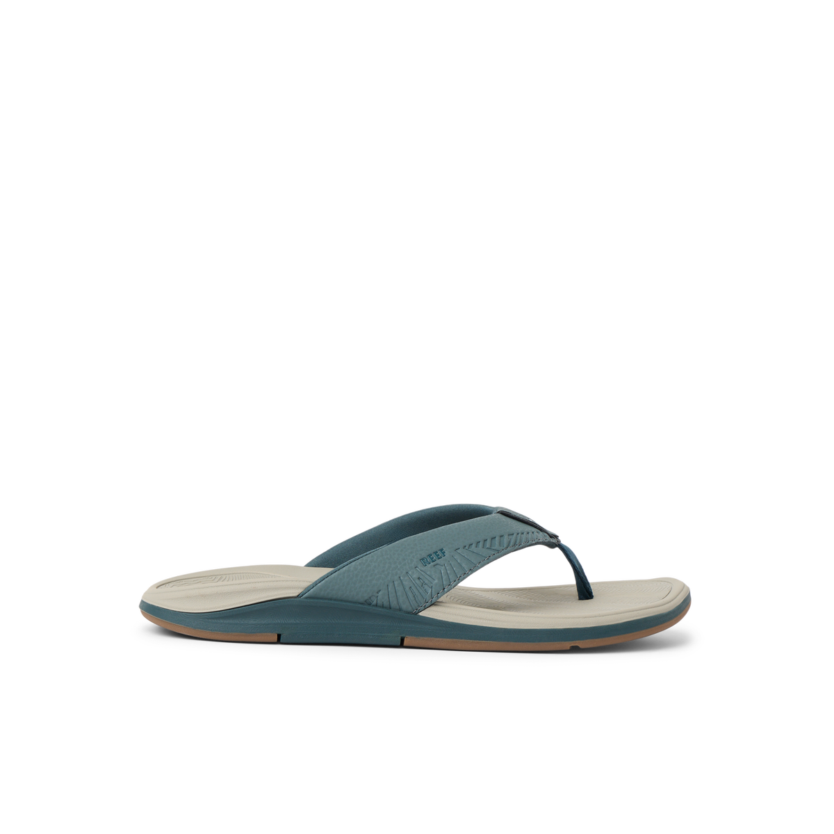 Reef Offshore - Seamoss