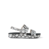 Black Snake