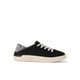 Black Zebra