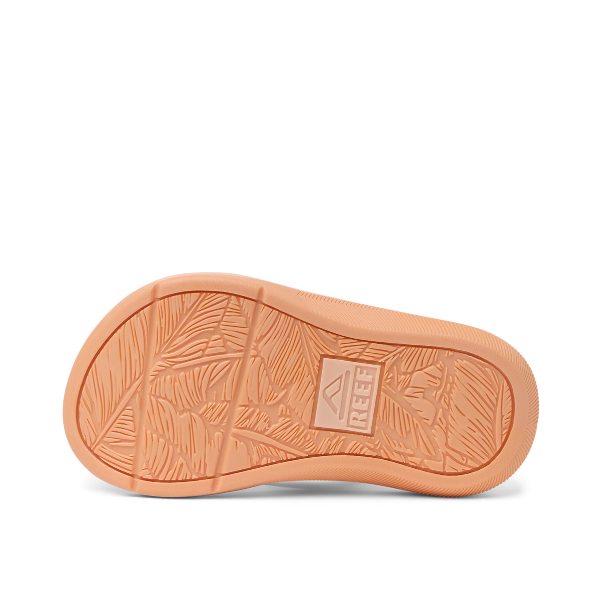 Reef Little Santa Ana - Bellini
