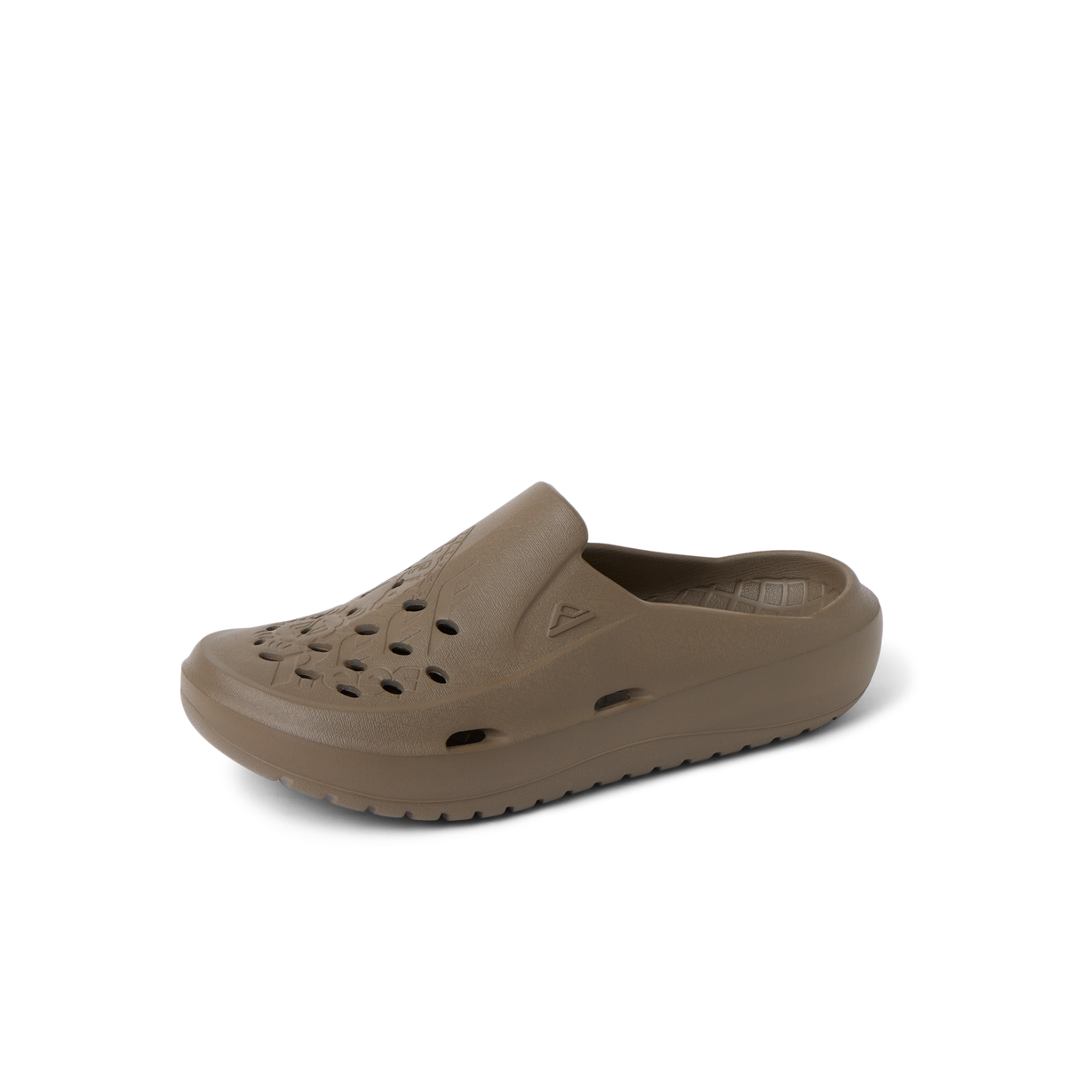Reef Glider - Fossil