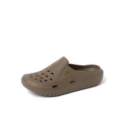 Reef Glider - Fossil