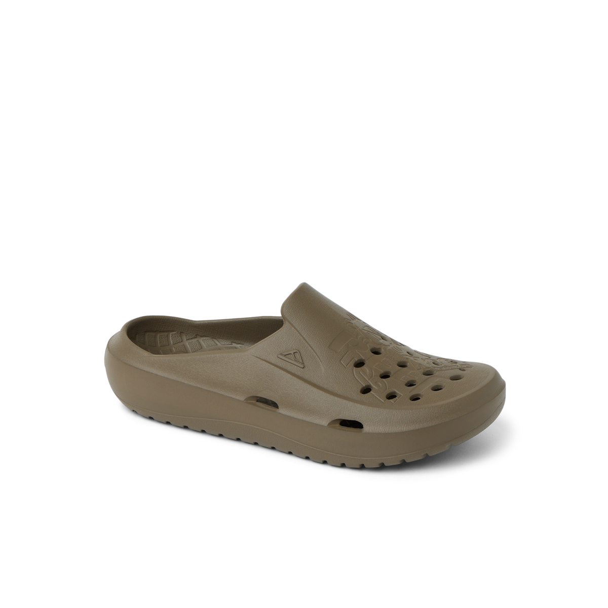Reef Glider - Fossil