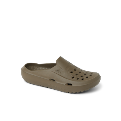 Reef Glider - Fossil