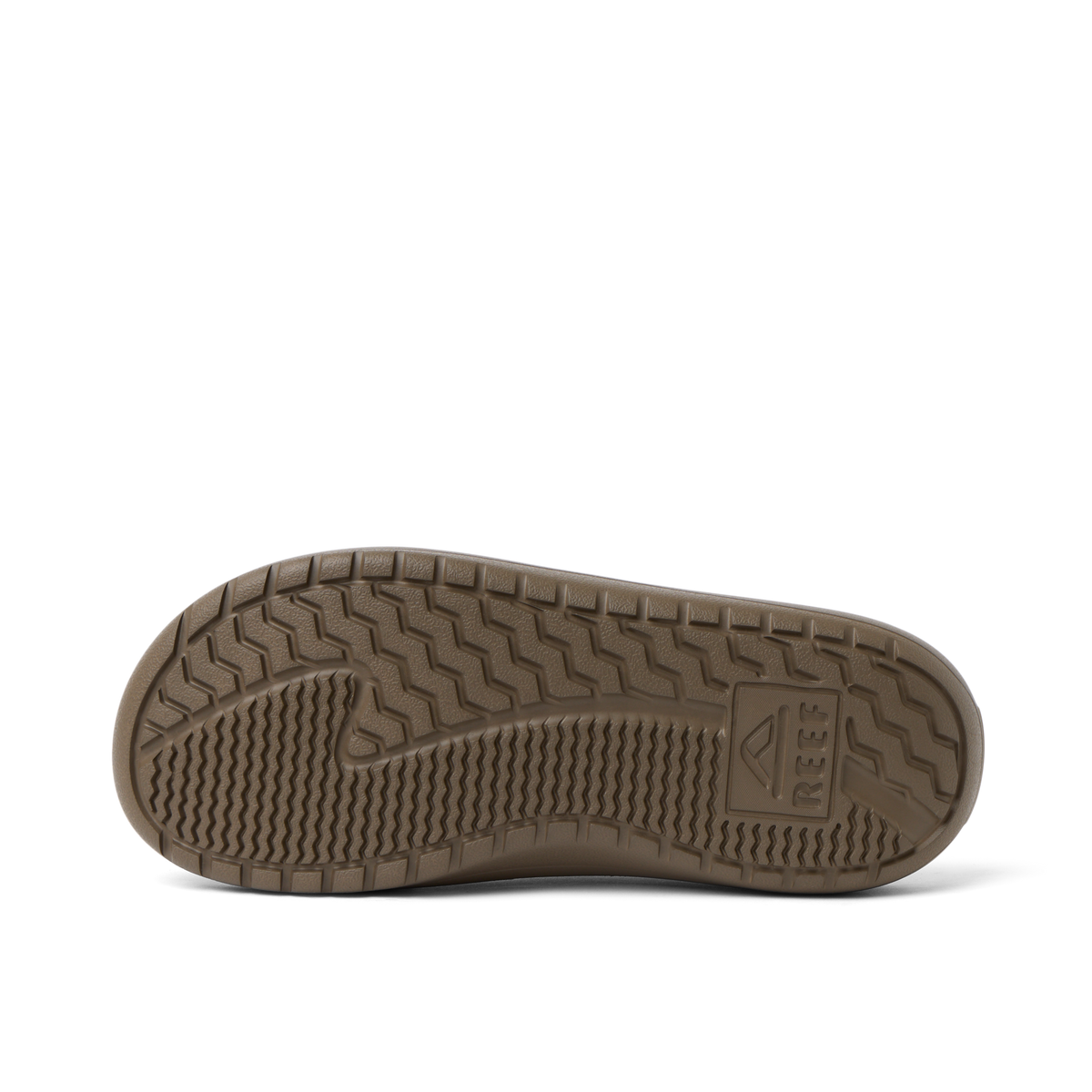 Reef Glider - Fossil