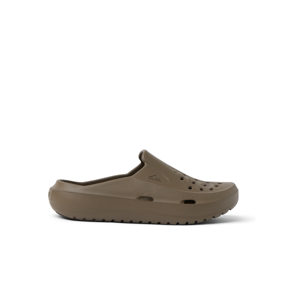Reef Glider - Fossil
