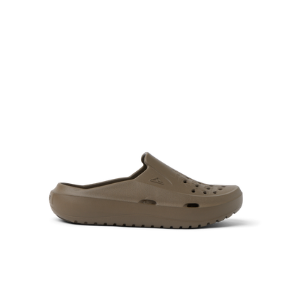 Reef Glider - Fossil