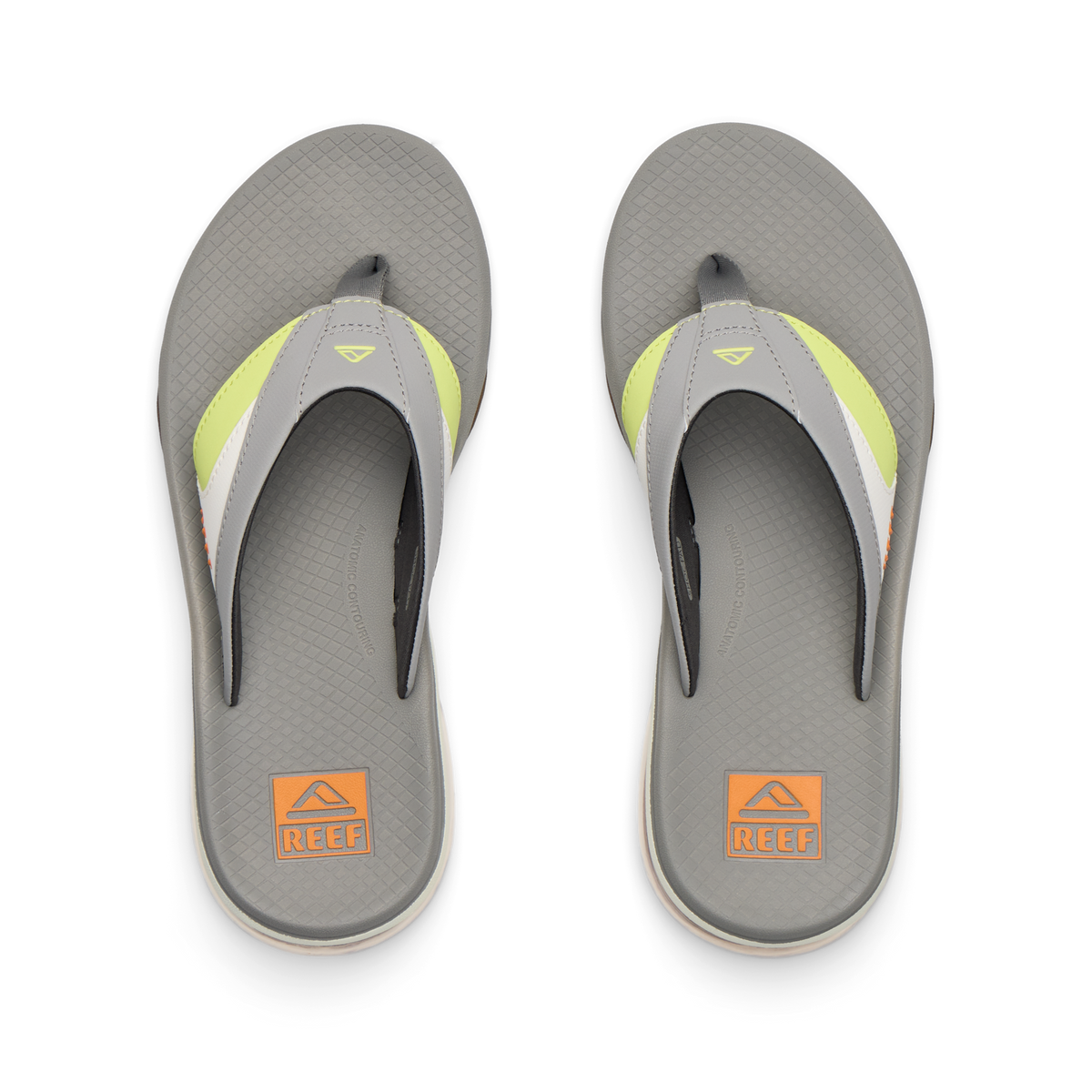 Reef Fanning + - Element/Limeade