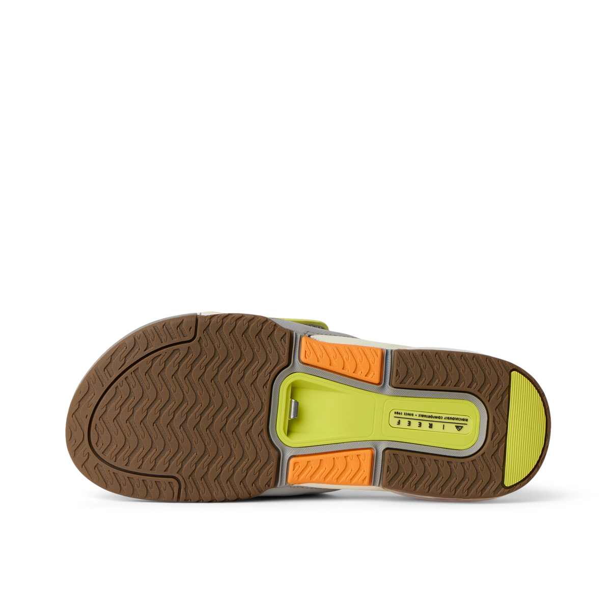 Reef Fanning + Slide - Element/Limeade