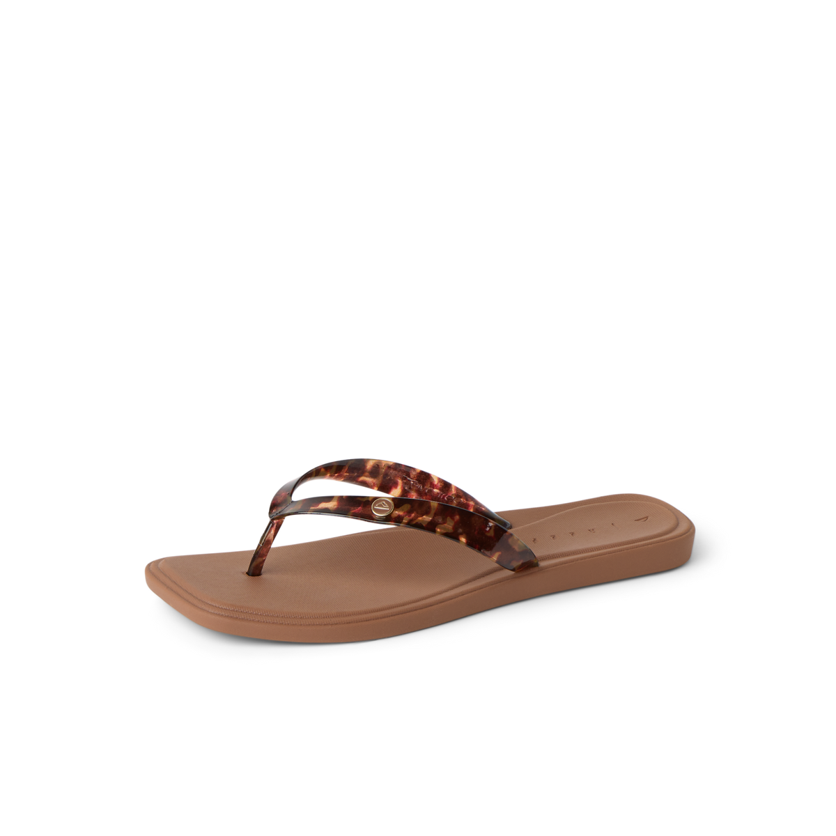 Reef Solaye - Tortoise