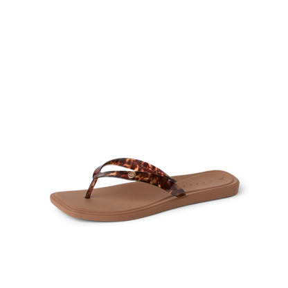 Reef Solaye - Tortoise