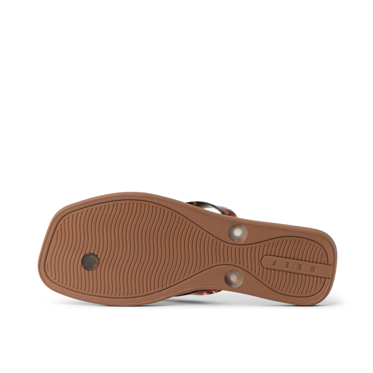 Reef Solaye - Tortoise