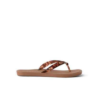 Reef Solaye - Tortoise