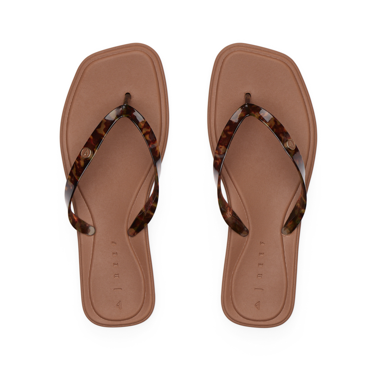 Reef Solaye - Tortoise