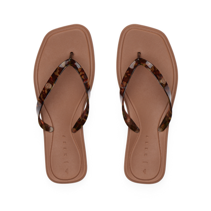 Reef Solaye - Tortoise