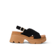 Black/Thrush