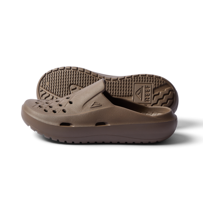 Reef Glider - Fossil