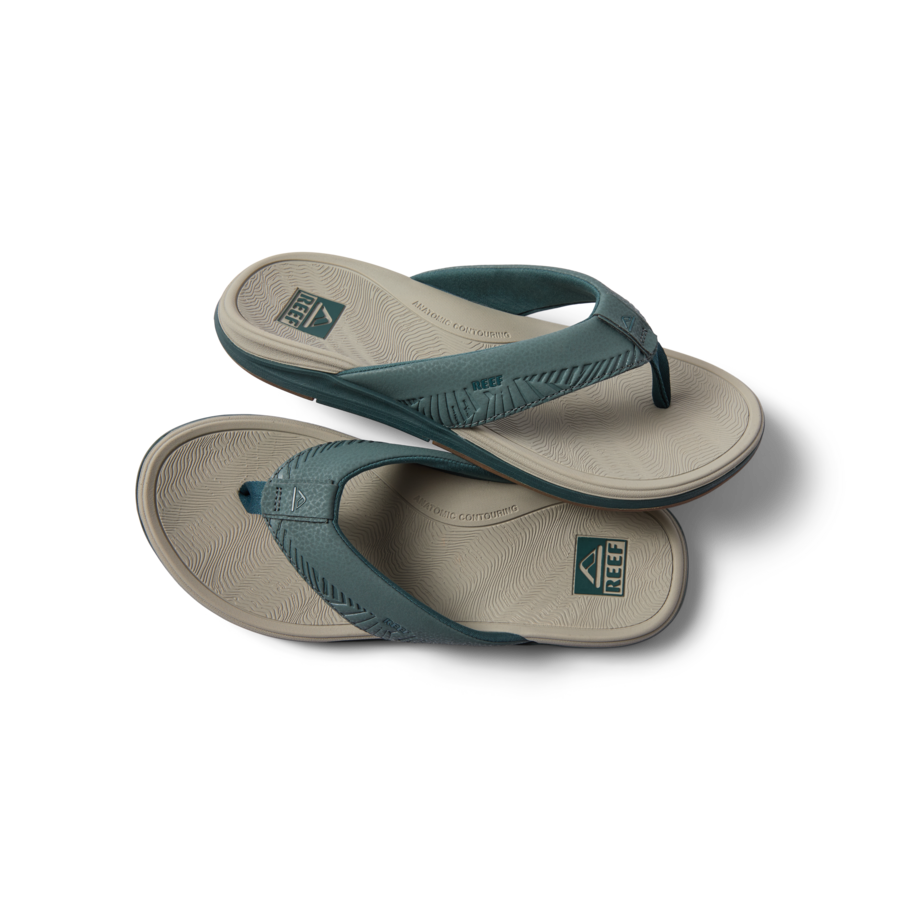 Reef Offshore - Seamoss