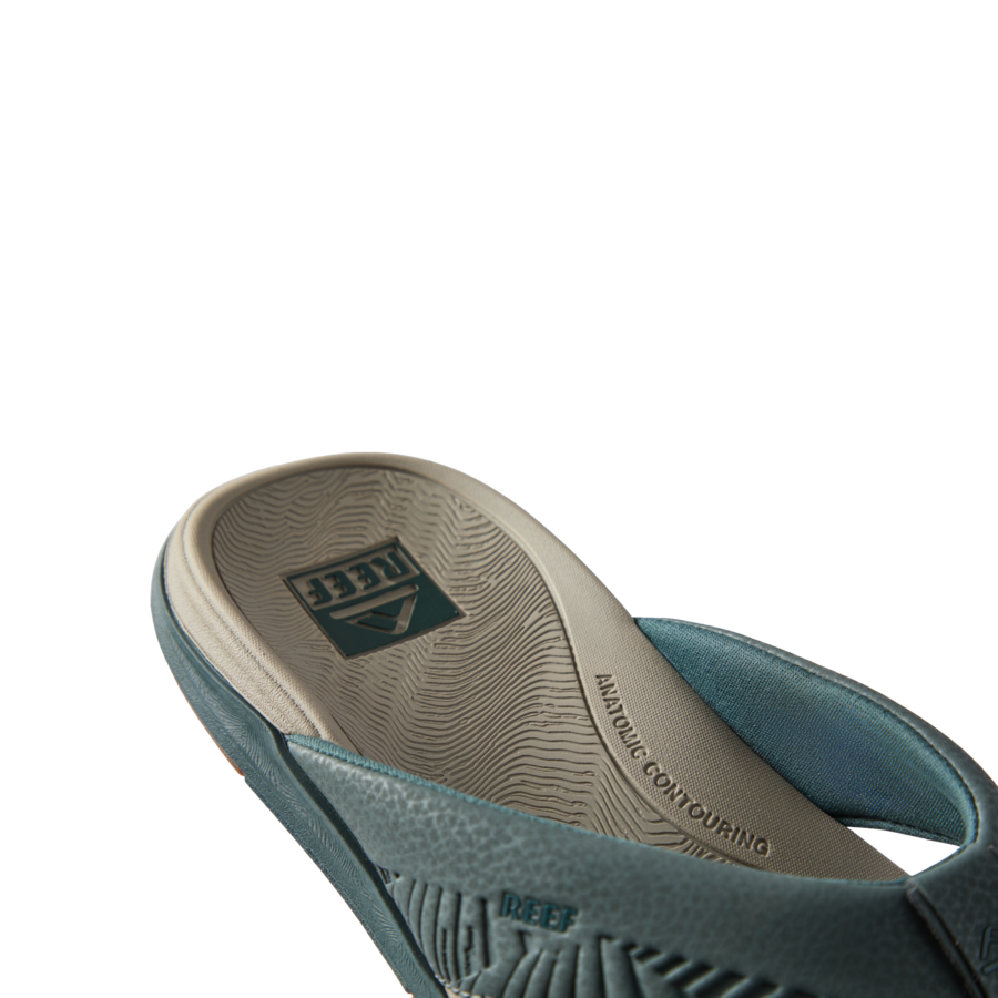 Reef Offshore - Seamoss