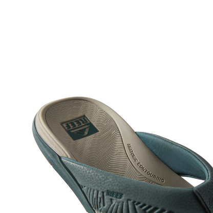 Reef Offshore - Seamoss