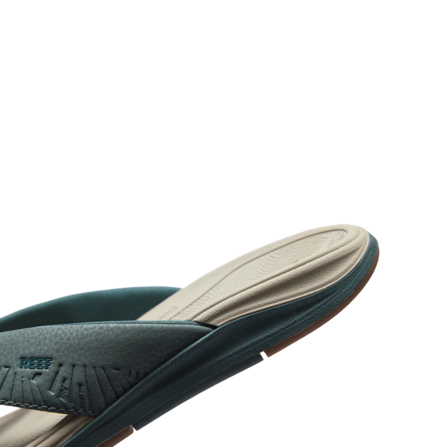 Reef Offshore - Seamoss