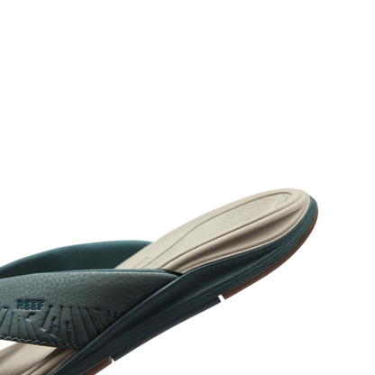 Reef Offshore - Seamoss