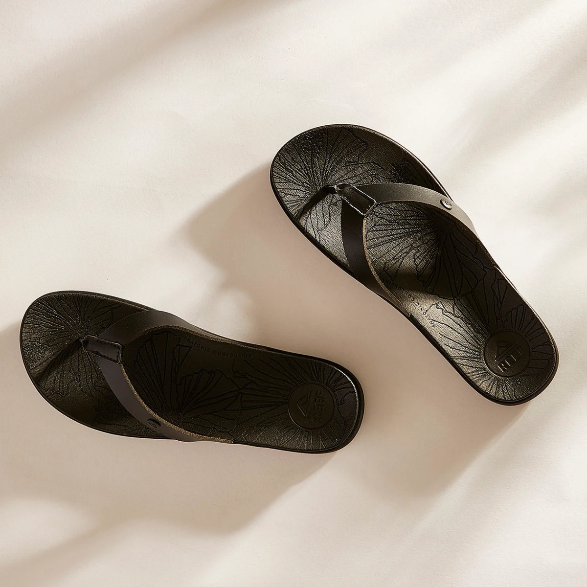 Reef Vista Porto Cruz - Black Night