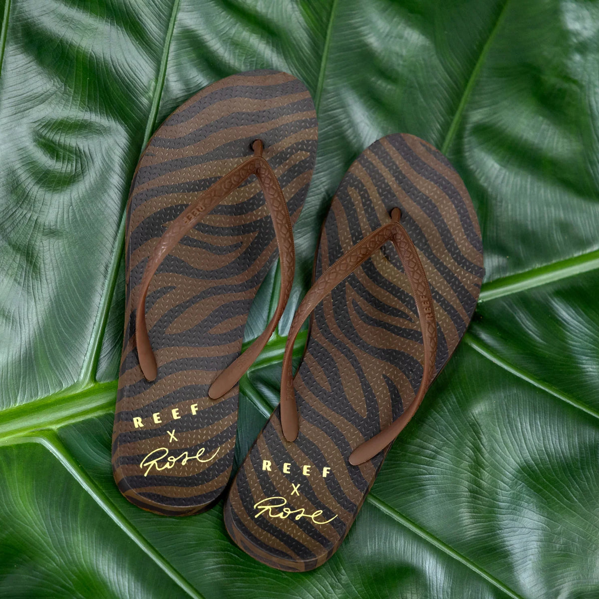 Reef Seaside - Rose - Chocolate Wave