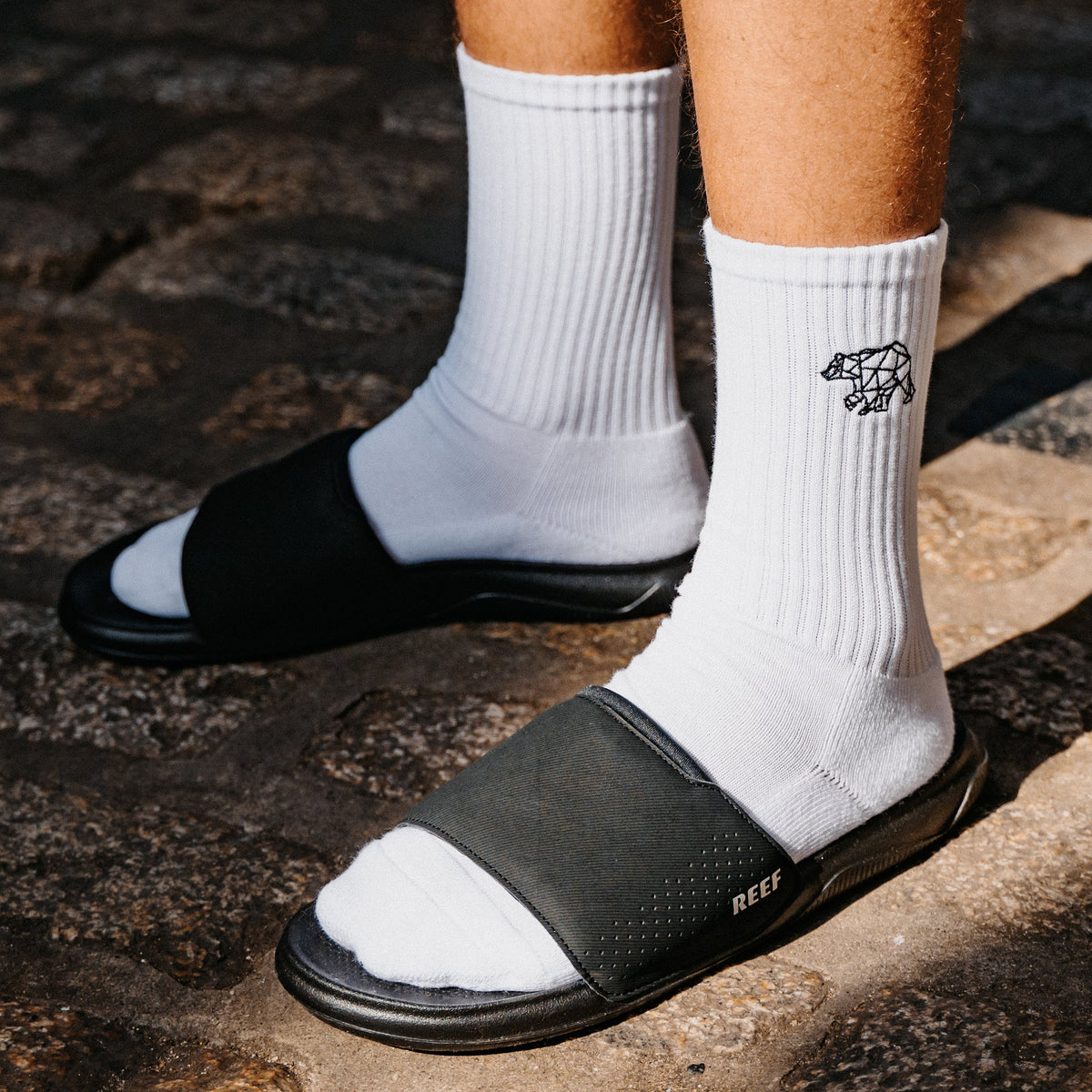 Reef Tailslide - Black